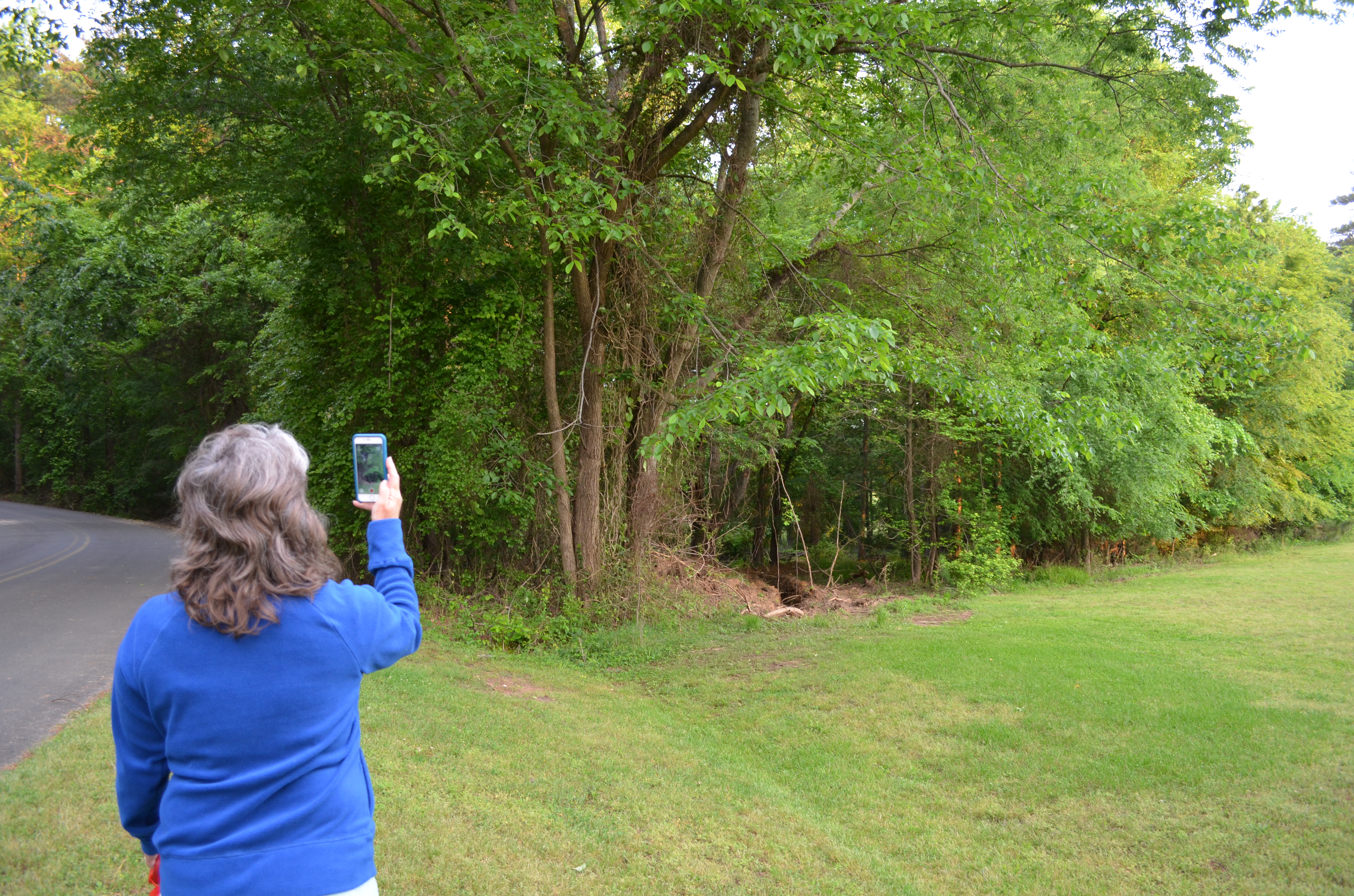 ./2016/09 - Kerr Lake/EDSC_0002.JPG